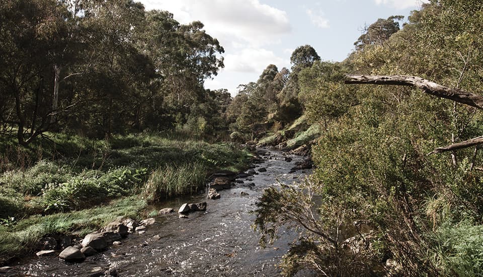 Merri Creek